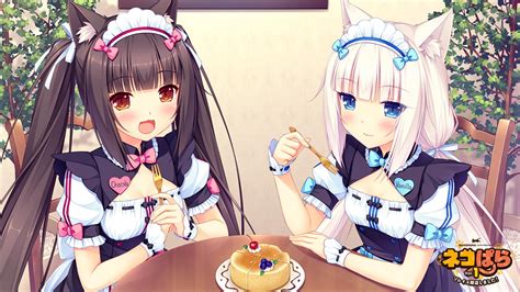 nekopara h|Are all the h